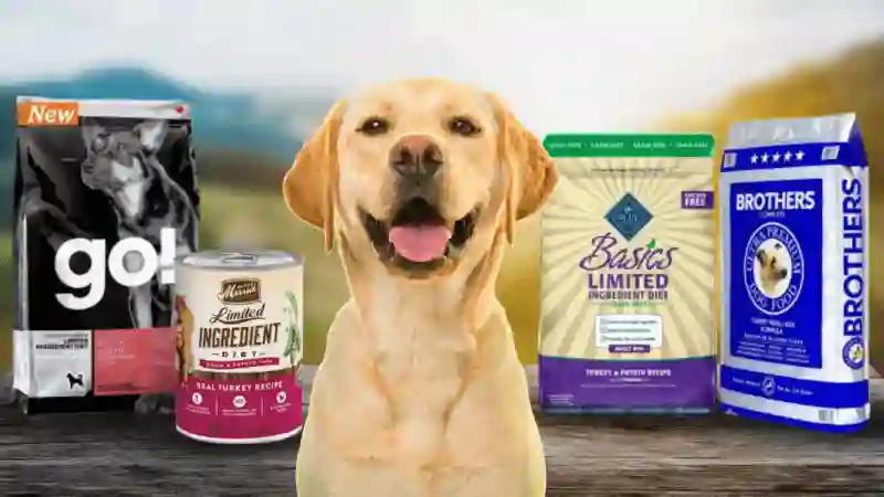 dog food